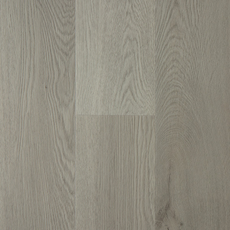  Šedá elegance